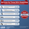 Graphic on Services for Those with Disabilities: Number of Business Establishments by Industry