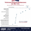 U.S. Census Bureau Graphic on Veteran-Owned Businesses in the U.S.