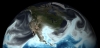 NOAA&#039;s Global Forecast System model visualized over North America. 