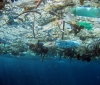 Underwater photo looking up through marine debris floating on the surface.