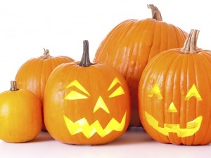 U.S. Census Bureau Compiles Key Stats for Halloween