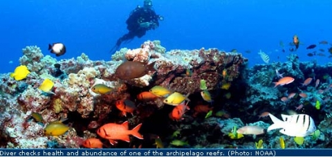 The Papahānaumokuākea Marine National Monument, which is part of the most remote island archipelago on Earth, supports a dynamic reef ecosystem with more than 7,000 marine species, of which approximately one quarter is unique to the Hawaiian Islands. The Papahānaumokuākea Marine National Monument, which is part of the most remote island archipelago on Earth, supports a dynamic reef ecosystem with more than 7,000 marine species, of which approximately one quarter is unique to the Hawaiian Islands.