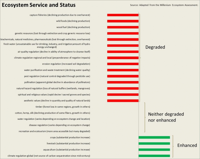 Ecosystem Service and Status