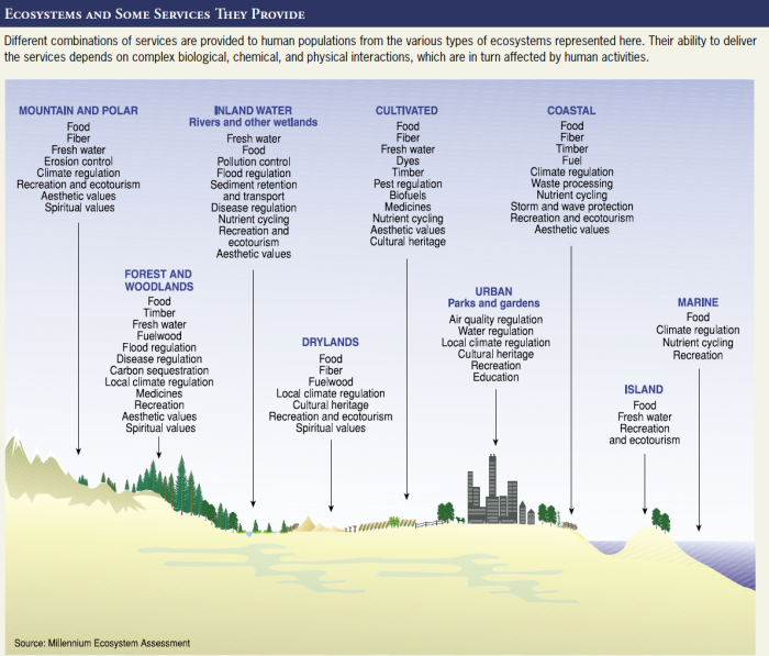 Ecosystems and some services they provide