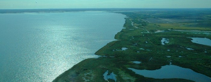 The Northern Gulf of Mexico Sentinel Site Cooperative incorporates the coastline and barrier islands from the Suwannee River in the Florida panhandle west to the Pearl River, at the state line between Mississippi and Louisiana.