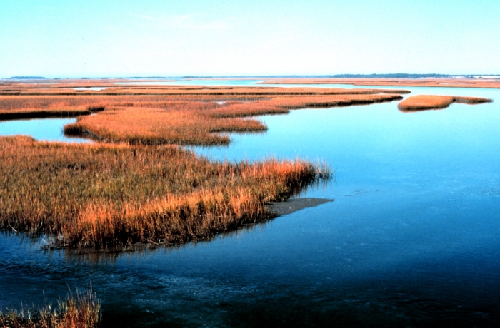 Clean watershed