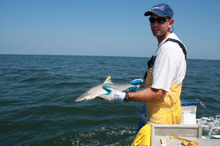 NOAA Research Fishery Biologist and Shark Expert Eric Hoffmayer 