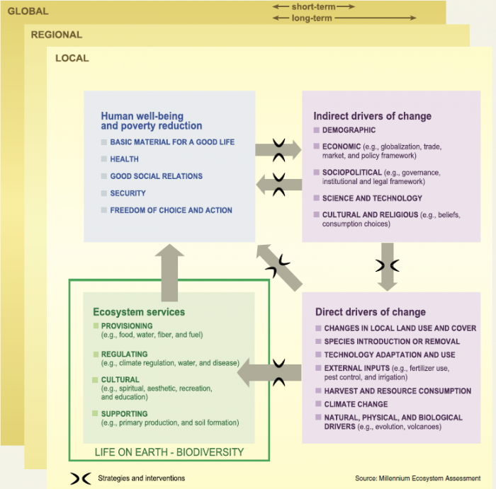 Milennium Ecosystem Assessment