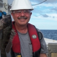 Back in Black: Black Sea Bass Stock is Rebuilt