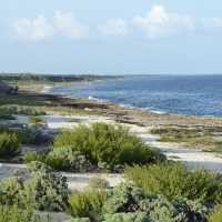 The Cuban shoreline