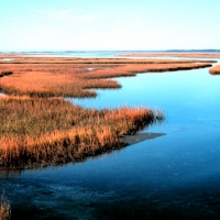 Clean watershed