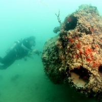 A diver examines the gunner&#039;s forward turret on a PBY-5 Catalina resting on its right side in Kāne‛ohe Bay, Hawaii. The plane was sunk at Pearl Harbor on Dec. 7, 1941. Credit: UH Marine Option Program