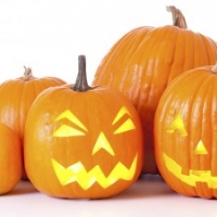 U.S. Census Bureau Compiles Key Stats for Halloween