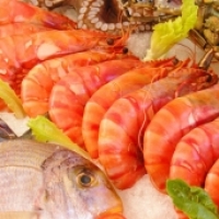 Seafood on Ice