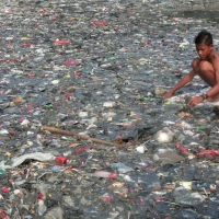Photo of Marine Debris in Ocean