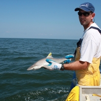 NOAA Research Fishery Biologist and Shark Expert Eric Hoffmayer 