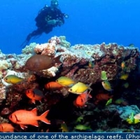 The Papahānaumokuākea Marine National Monument, which is part of the most remote island archipelago on Earth, supports a dynamic reef ecosystem with more than 7,000 marine species, of which approximately one quarter is unique to the Hawaiian Islands.